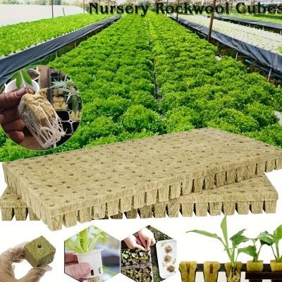 Rockwool / Stonewool Starter Cubes