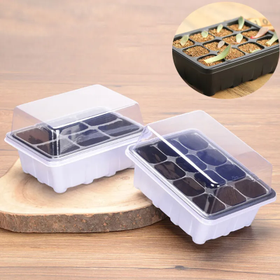 Germination Box with Dome