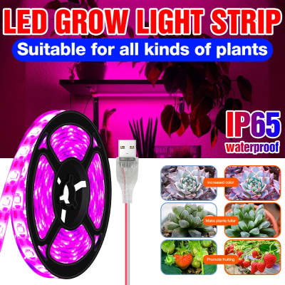 USB Phyto Lamp Full Spectrum Plant Growth Light